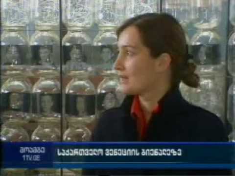 საქართველო ვენეციის ხელოვნების საერთაშორისო ბიენალეზე