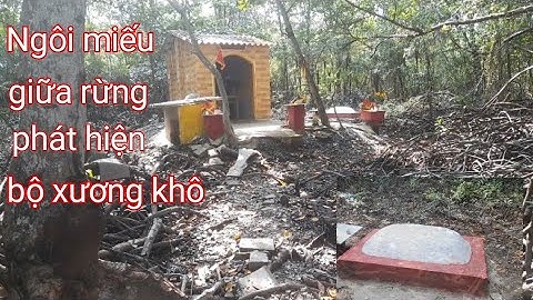 Rùng Rợn khi phát hiện bộ xương khô trong Ngôi Miếu giữ Rừng hoang du