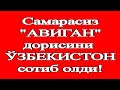 Негатив 101: Пул қутуртирганлар халқни яна алдаяпдими?