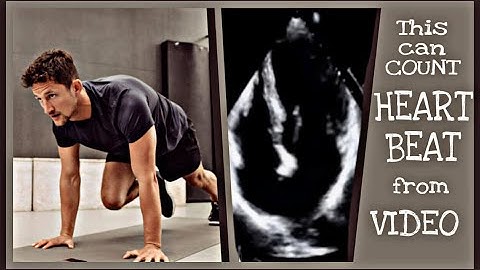 How this Machine Learning Model Can Count Heartbeats And Workout Laps From Videos | AI TIMES |