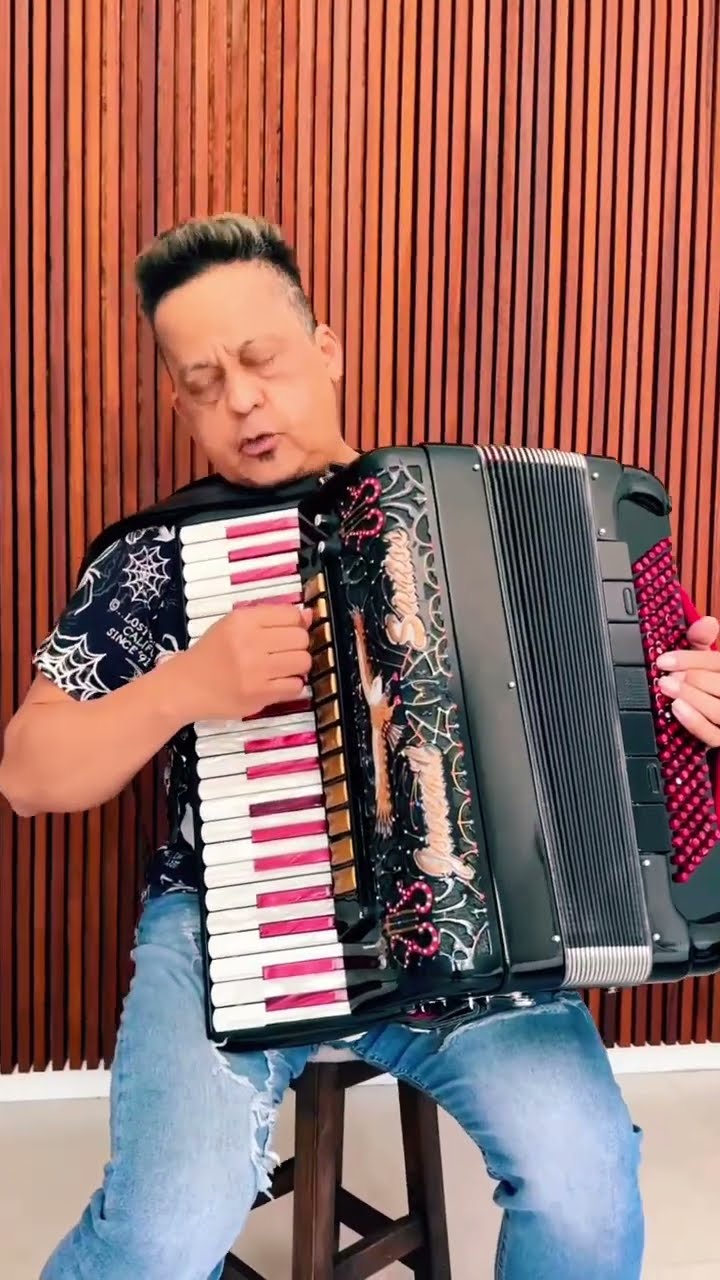 https://rifei.com.br/acordeon-melody-president