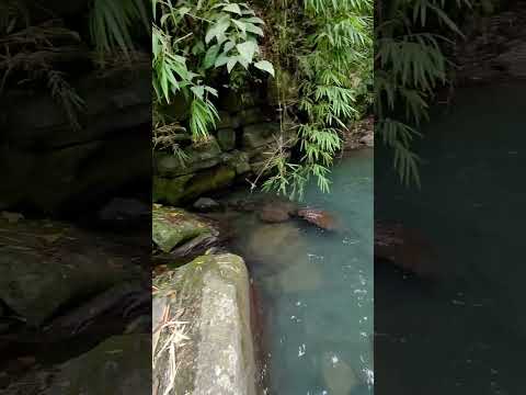 The hidden River Falls of Quezon, Bukidnon 🌿🌱🌿