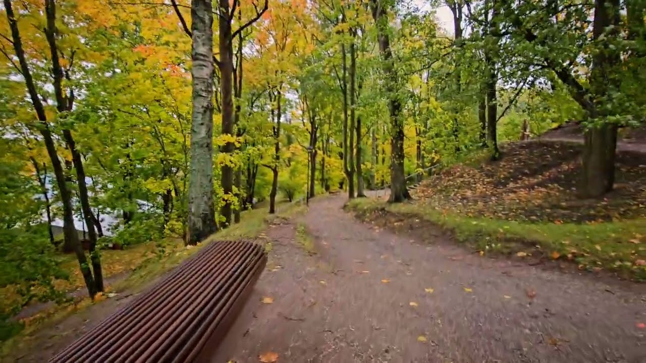 Rainy Day Walk in Fall  / Autumn Leaves  - Tartu Toomemägi Estonia 4K