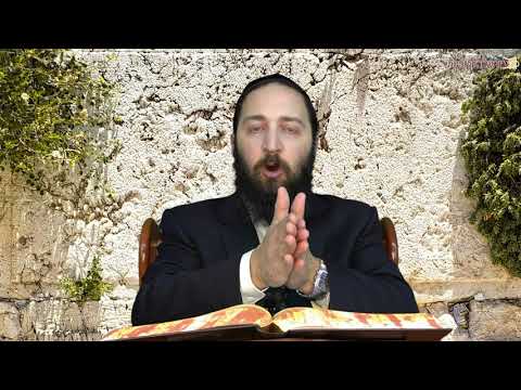 יומא יב ב - Youtube