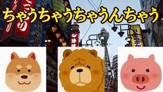 チャウチャウちゃうんちゃう？ - YouTube