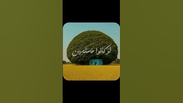 (ربما يود الذين كفروا لو كانوا مسلمين)   المنشاوى   منشاويات.  تلاوه   هدوء