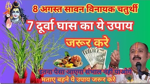 8 अगस्त गुरुवार सावन विनायक चतुर्थी को 7 दूर्वा वाला उपाय जरूर करे || Pradeep Ji Mishra