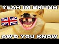 British memes yes im british howd you know bri ish meme compilation
