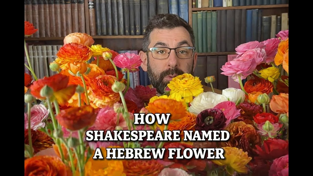 Ophelia's Flower: How Shakespeare's Hamlet Named a Hebrew Wildflower - YouTube