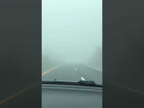Extreme fog #fog #foggy #weather