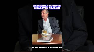 Александр Новичков О Властях Польши. Резко И Прямолинейно.