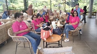 A Piece Of My Love - Line Dance/Improver Samba/Janet (Zhen Zhen) GE(CN) Count : 32 Wall: 4