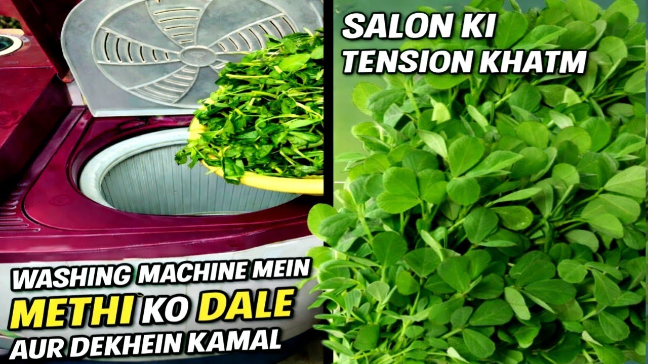 Washing machine mein methi ko dalte hi dekhe Kamal 😳 salon ki tension khatm