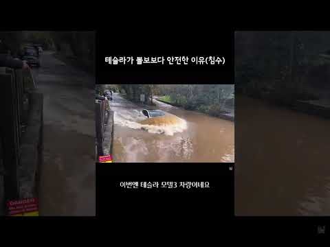 테슬라가 볼보보다 더 안전한 이유?? Part.3