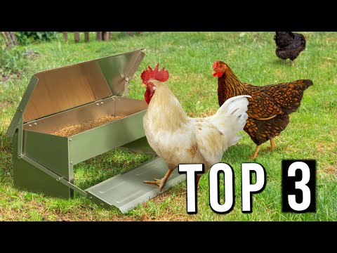 ⭐️ Meilleure Mangeoire pour Poule Automatique | 2022 | Comparatif | Top 3