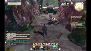 Raiderz Hack 02
