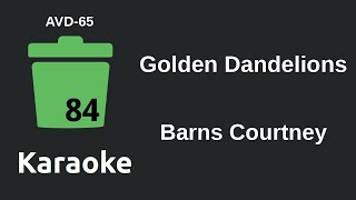 Barns Courtney - Golden Dandelions (Karaoke) [AVD-65]