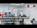 Chinese Researchers Transplant Gene-edited Pig Liver into Living Human Patient