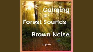 Brown Noise - Twilight Nature Sounds, Loopable