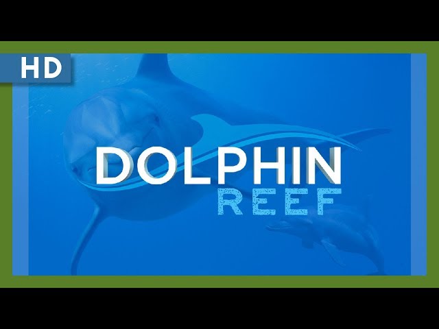 Лучшие документальные фильмы про океаны и моря