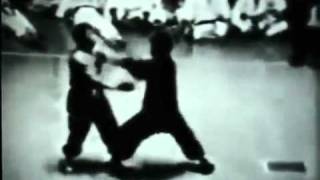 bruce lee video compilation.mp4