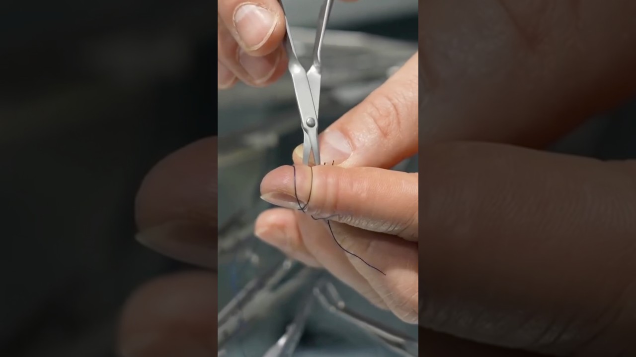 Safest Suture Removal Technique #goodtoknow #vet #medicine #funfacts #lifehacks #educational #hacks