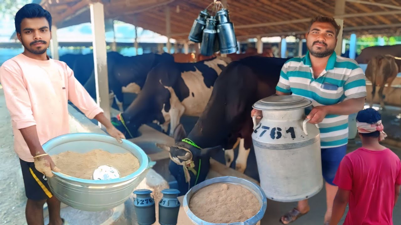 75 மாடுகள் 750 லிட்டர் பால் பண்ணை | SK Dairy farm | 50% Avin 50% Aroma Milk supply | Siva Arun Tv