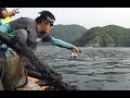 カンパチ養殖イケスの外側で釣りしてみた・・・ の動画、YouTube動画。