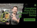 How to Set Up a Crested Gecko Hatchling Complete Starter Kit | Step-by-Step Guide