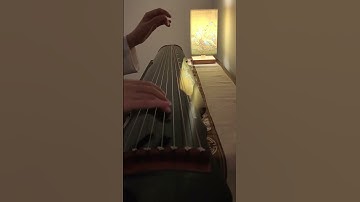 Thumbnail of Shanghai in the 90s... | Blossoms Shanghai (繁花) Theme on Guqin