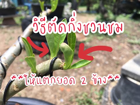ผลสลากกินแบ่งรัฐบาล วันที่ 1 พย. 2567 ผลสลากกินแบ่งรัฐบาล วันที่ 1 พย. 2567