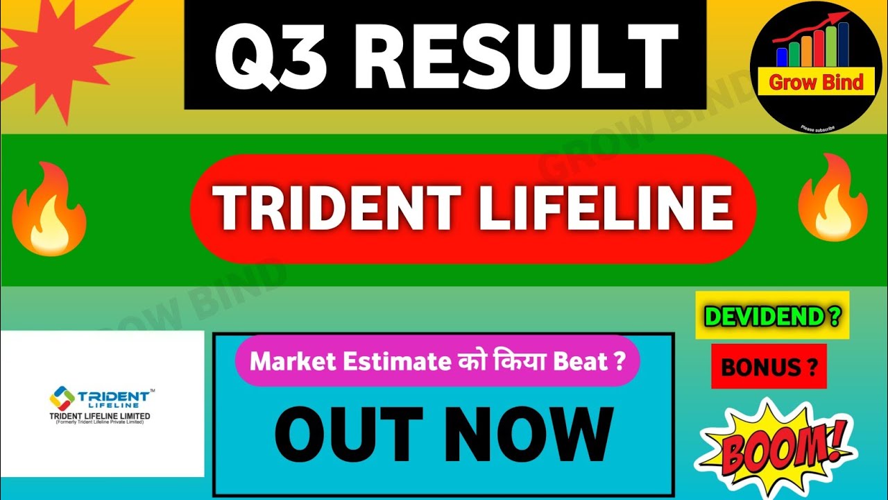 Trident lifeline Q3 result | Trident lifeline share latest news | Trident lifeline share news |
