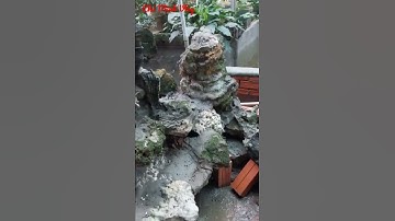 #1 nghệ nhận chuyên  tạo ra những  hòn non bộ   đẹp siêu phẩm #shorts #lvm