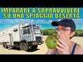 Imparare a sopravvivere su una spiaggia deserta | giro del mondo in camper