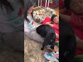 MY AUNTS DOG WAS HUMPING MY SISTERS LEG!! | Mini Vlog