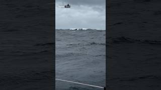 World’s Calmest Sea vs Most Dangerous Ocean 🌊🌎 #facts #explainshort #SargassoSea #DrakePassage