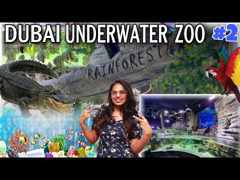దుబాయ్ నీటి అడుగులో ZOO ||అతి పెద్ద CROCODIAL || ఇది మిస్ అవ్వకండి || DUBAI UNDERWATER ZOO || Part 2