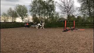 Ad ref 260249    Video 3