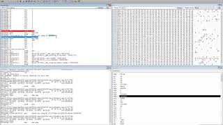 03 Reverse Engineering Windows Binaries (C Programming - Variable Declaration)