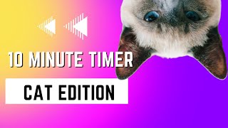 10 Minute Timer - Cats Net Worth