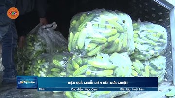 HIỆU QUẢ CHUỖI LIÊN KẾT DƯA CHUỘT    | VTV5