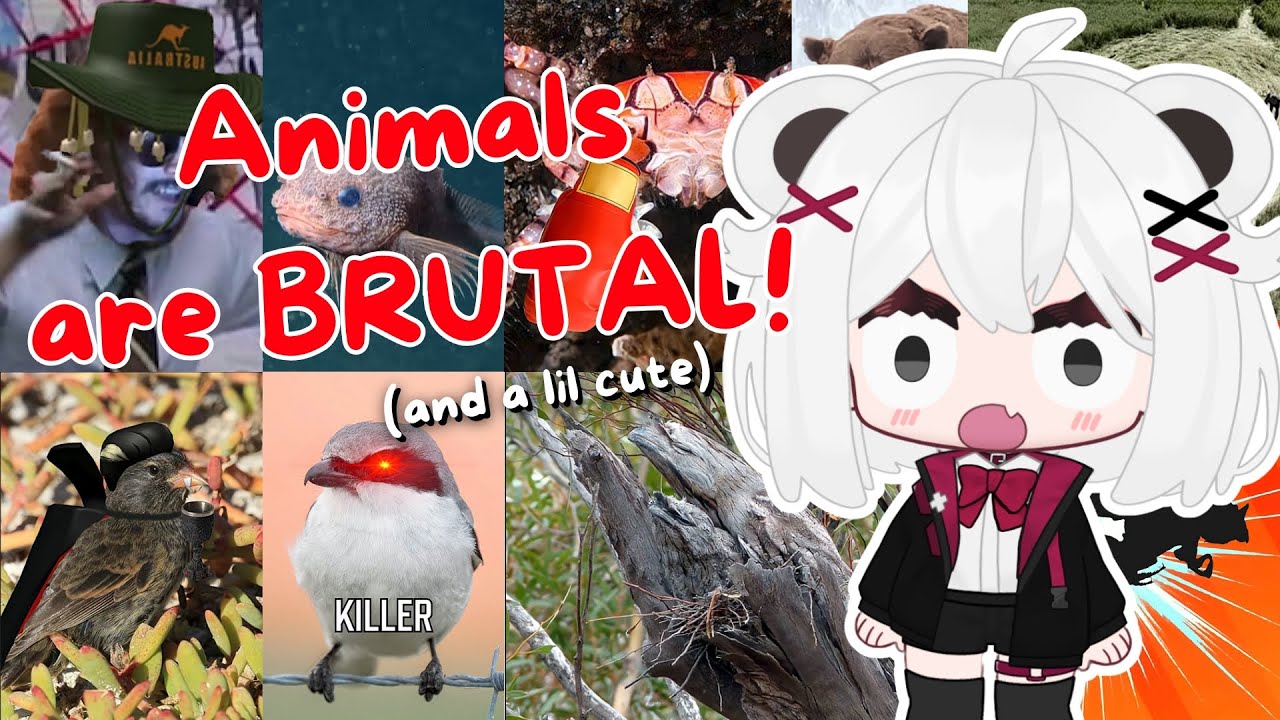 Эти животные ЖЕСТОКИЕ!!! [MoreParz реагирует] || Милая Паня