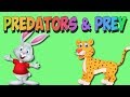 Predator Versus Prey: A Fun Look at Animal Adaptations and Roles