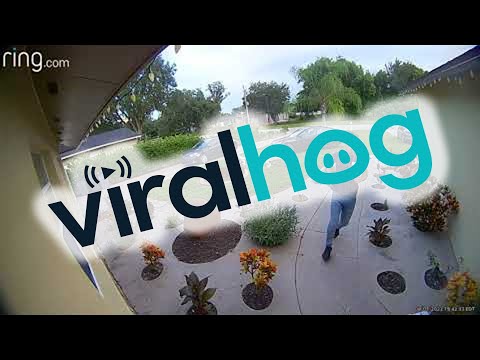 Forgetting to Put the Car Into Park || ViralHog