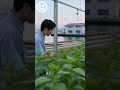 富津リサイクルショップ　⑲「この国の未来を、田舎から作る。」篇