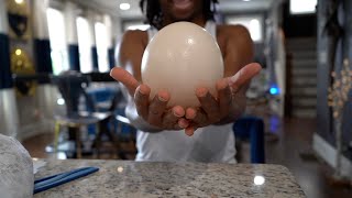 EATING The World&#39;s LARGEST boiled OSTRICH EGG