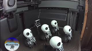 Mountain View 3D Printing Live Stream