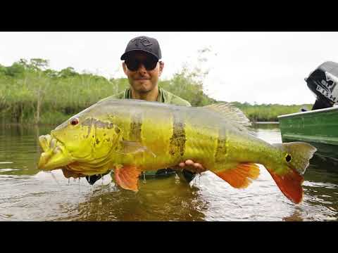 MidCurrent's T.C. Fishing Amazonas Pre-Trip Guide: Conventional Fishing Gear