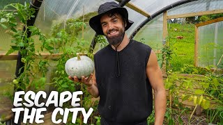 Mind Blowing Life Transformation | How to Escape the City to Become a Farmer