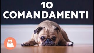 I 10 COMANDAMENTI dei cani  Sicuri di rispettarli?